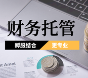 云南临沧临翔区专业财税服务 公司注册、代理记账一站式解决方案